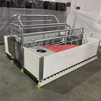 Europe Type Farrowing Crate