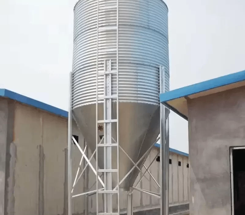 Pig feeding system silo