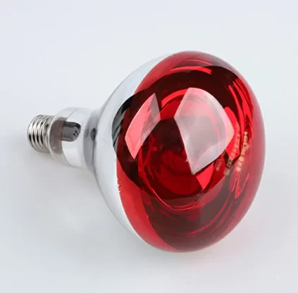 Pig farm heating lamp bulb