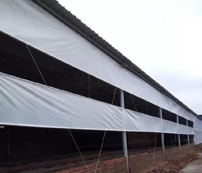 Pig farm ventilation curtain