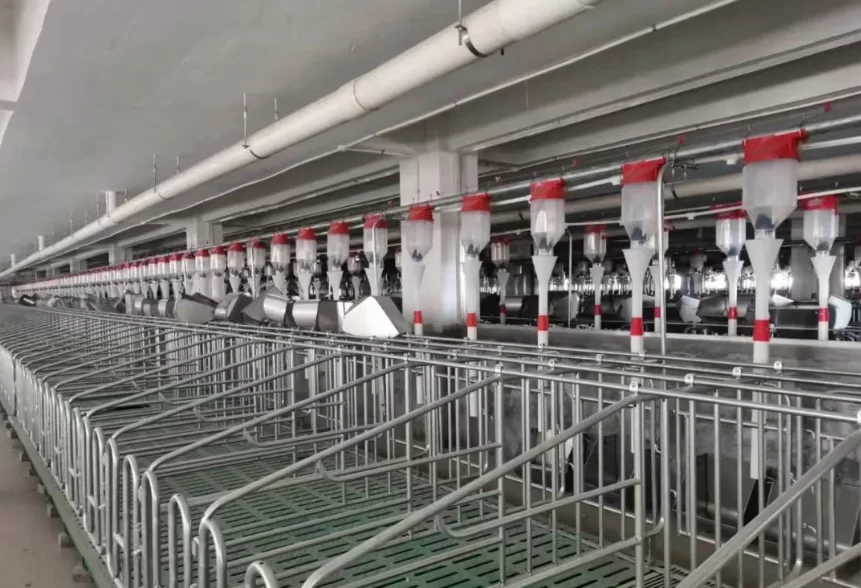 pig farm automatic feeding disc chain